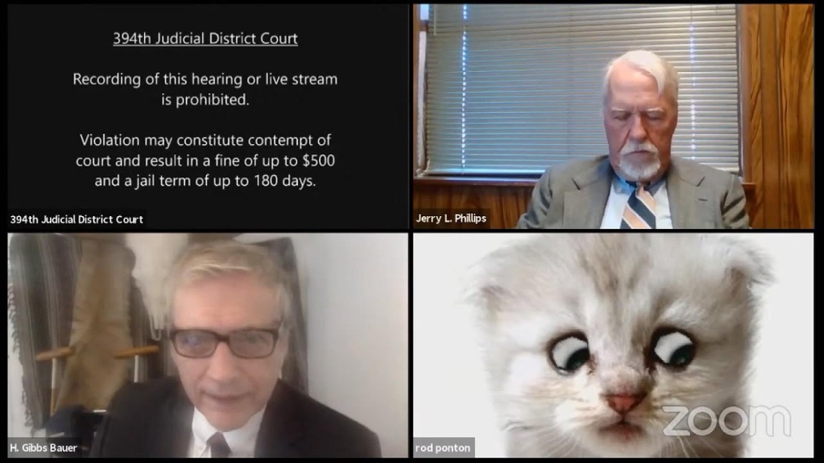 LOL: Lawyer Gets Stuck With Cat Filter During Virtual Court Case on Zoom